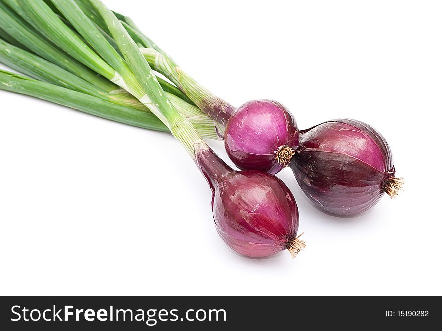 Red young onions on white