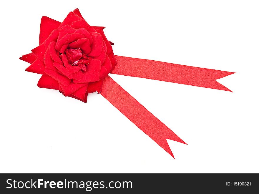 Red Rose With Red Ribbon