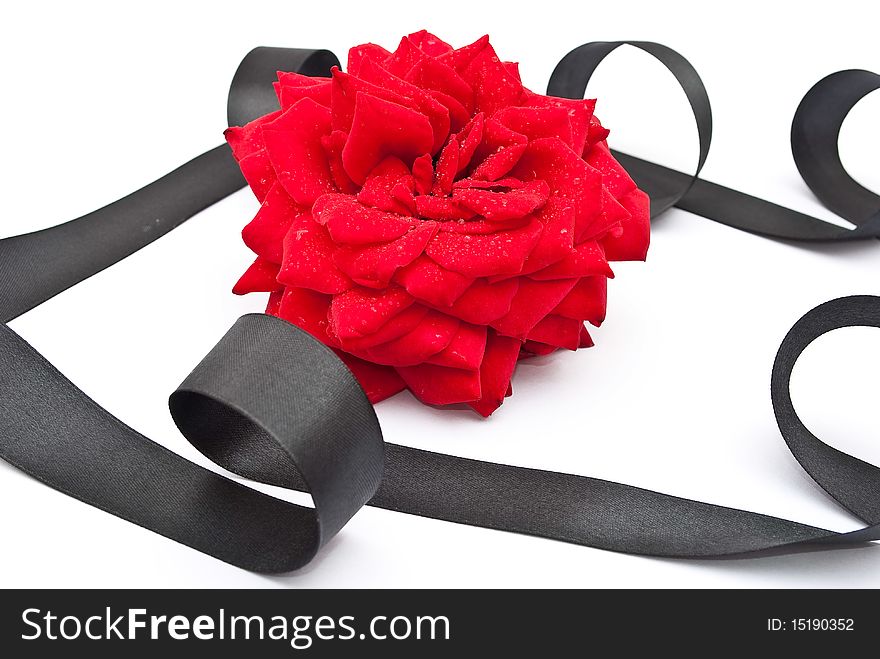 Red Rose With Black Ribbon