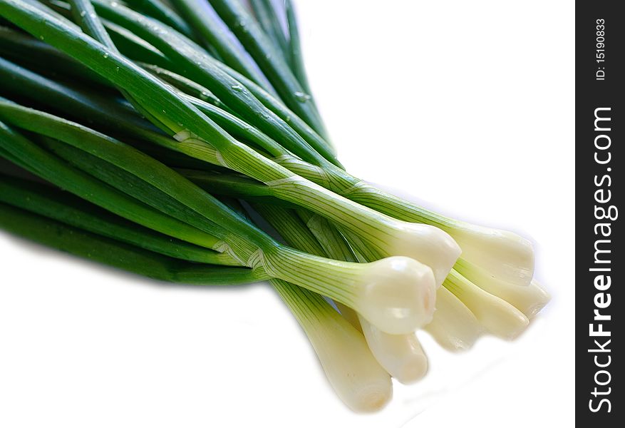 Spring onions in white background