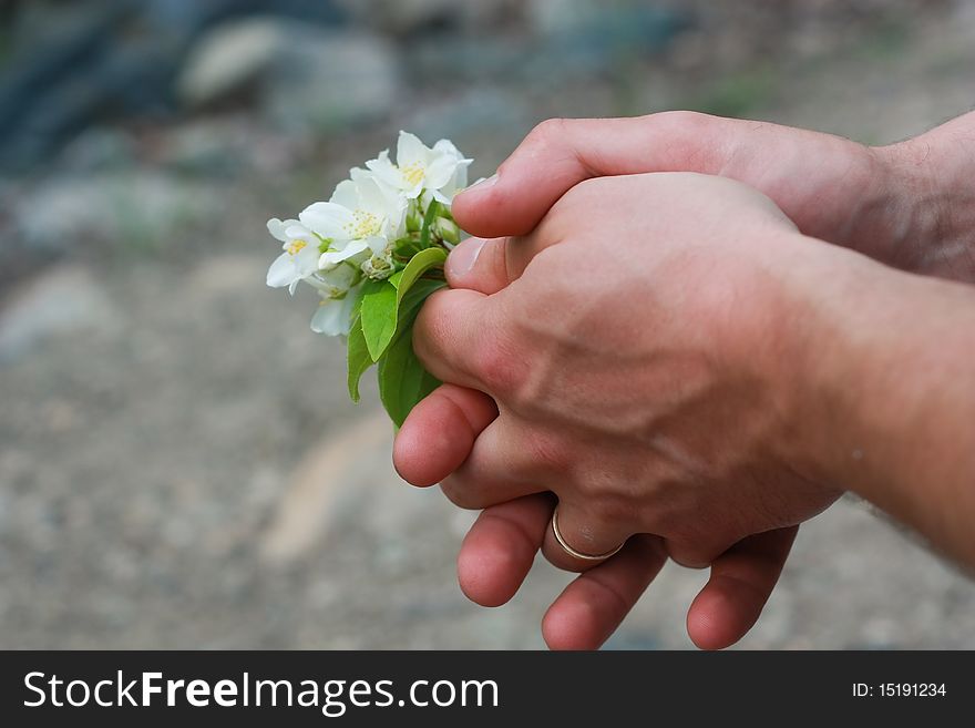 Bouquet of white flowers in man hands. Bouquet of white flowers in man hands