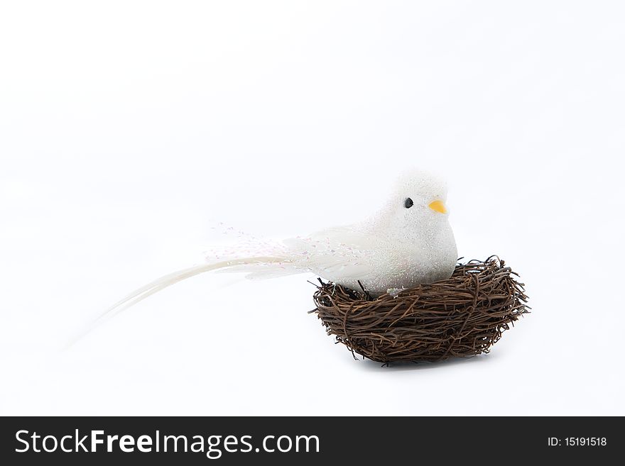 White bird on the nets isolated on white