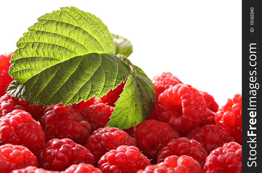 Berries of a red raspberry on isolated