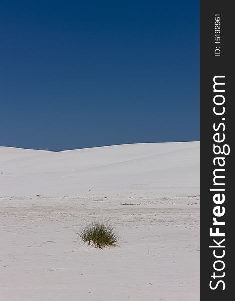 White Sands Monument, New Mexico, USA