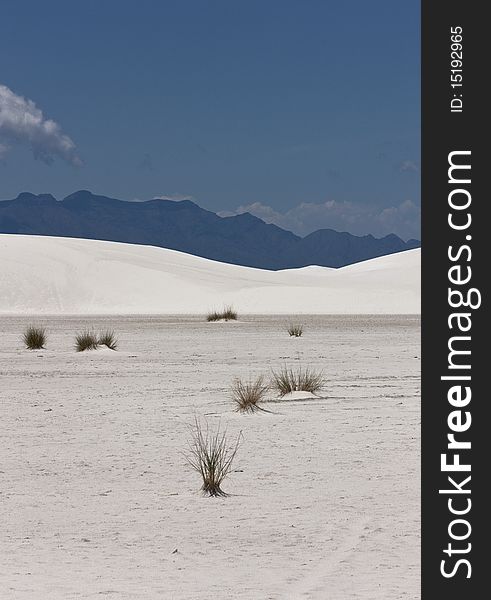 White Sands Monument, New Mexico, USA