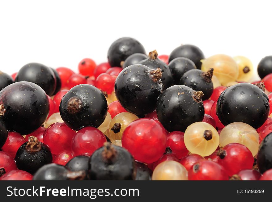 Black, red and white currants on a white background with copy space