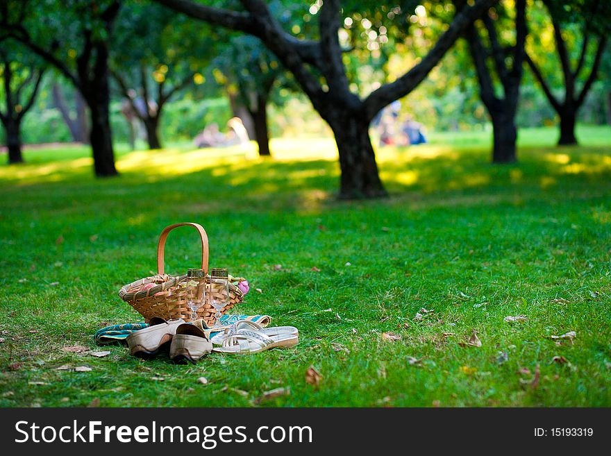 Basket with fruits and Pair of champagne glass in the park with shoes