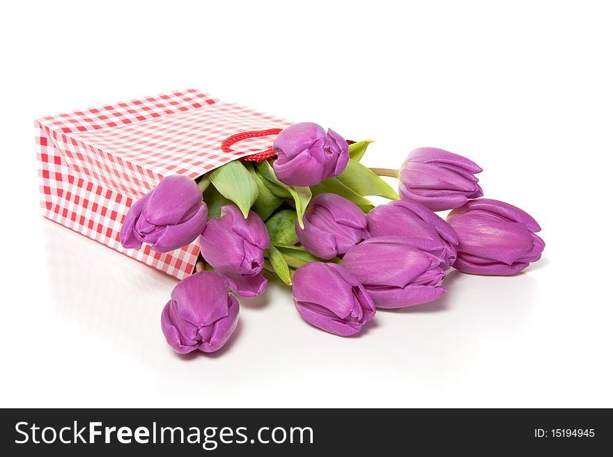 Purple tulips in a red white checkered giftbag isolated over a white background