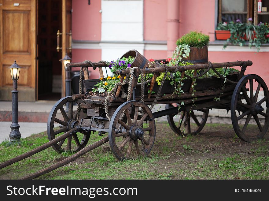 Old Cart With Flowers