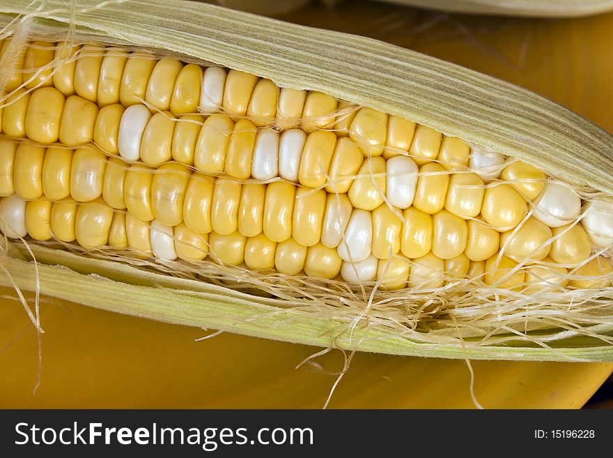 An ear of corn with husks and silk shot very close up. An ear of corn with husks and silk shot very close up.