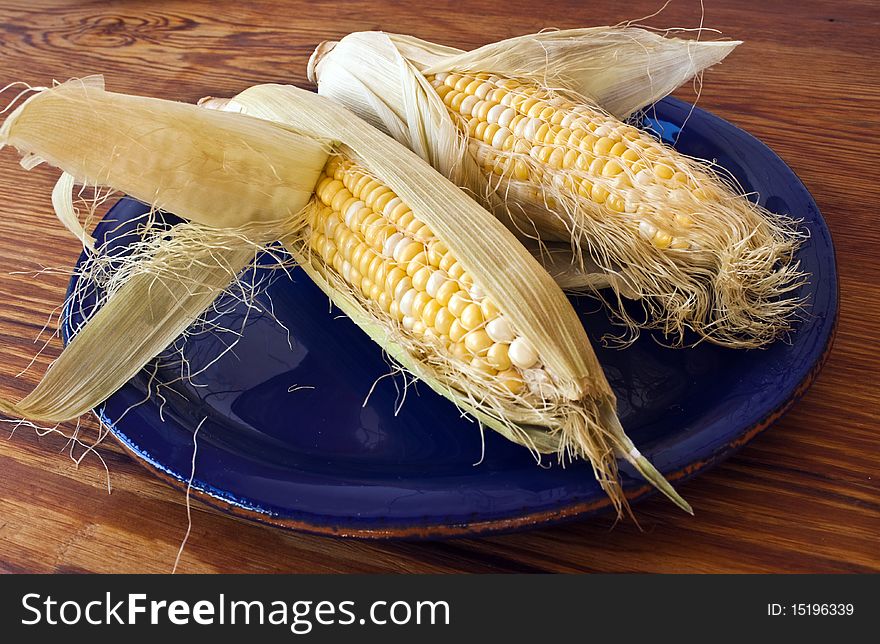 Two ears of corn in their husks on a blue plate and table. Two ears of corn in their husks on a blue plate and table.