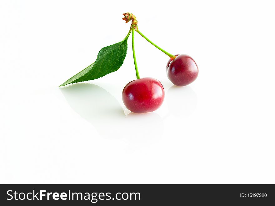 Two cherries, on small branch, with slip, close-up, on light background, copy space. Two cherries, on small branch, with slip, close-up, on light background, copy space.