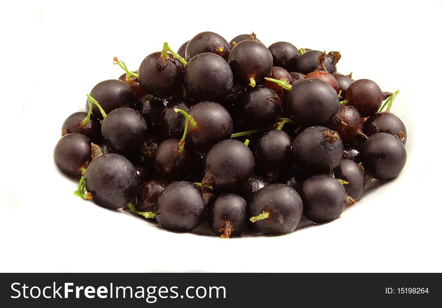 Ripe gooseberries, crossed with black currant, white background juicy dark red large berries. Ripe gooseberries, crossed with black currant, white background juicy dark red large berries