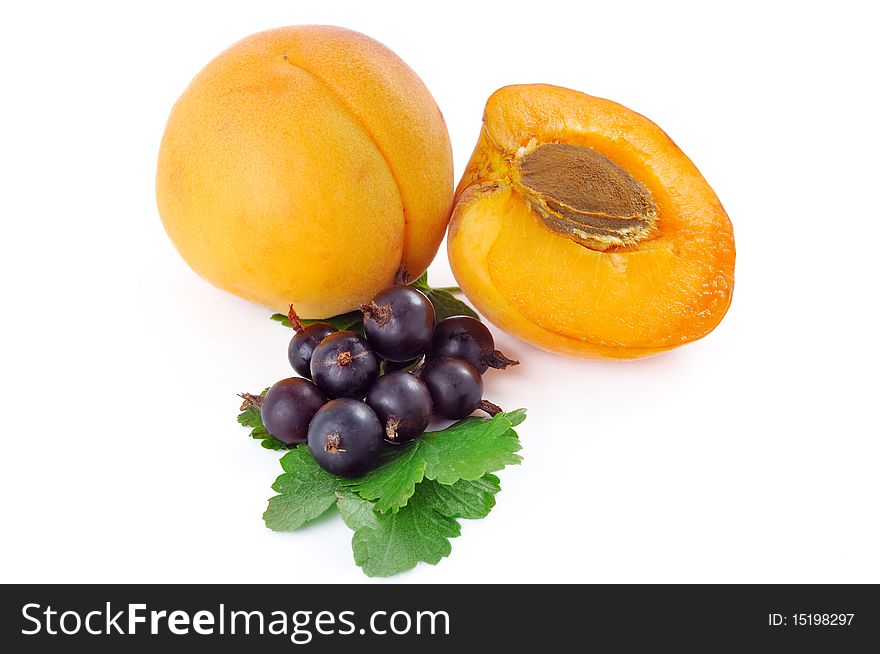 Apricot And Black Currant