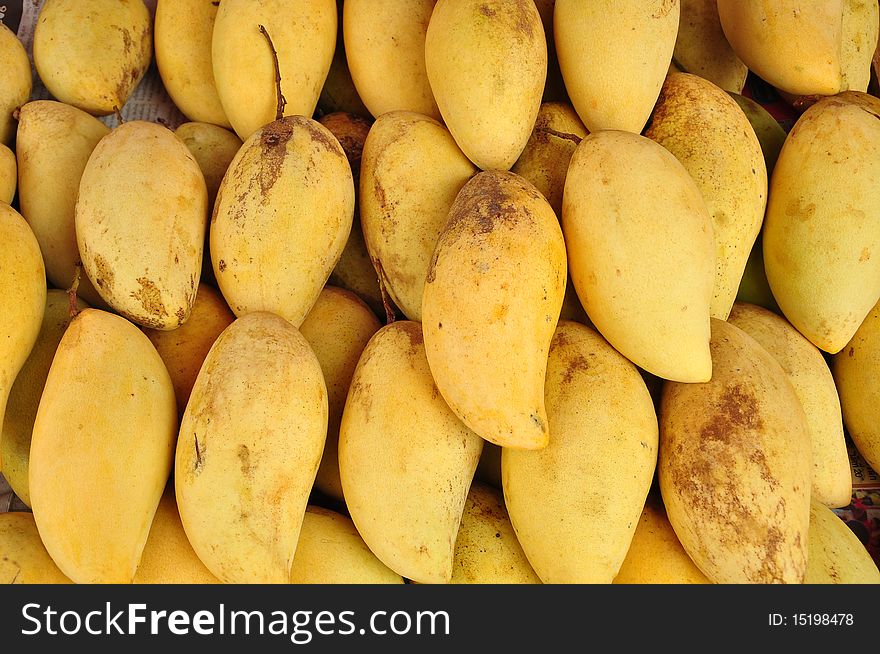 Yellow mango in thailand