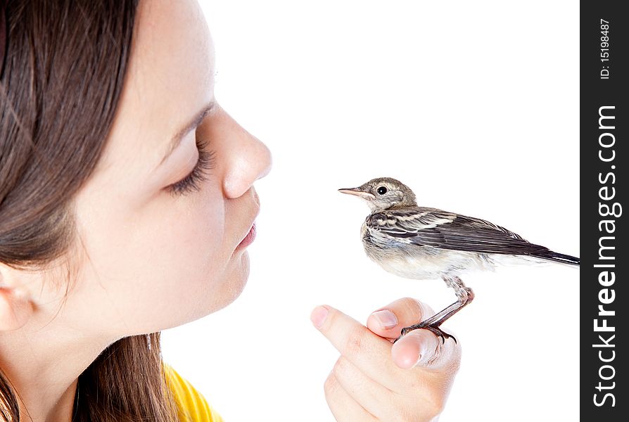 Nestling of bird (wagtail) on hand. Isolated on white