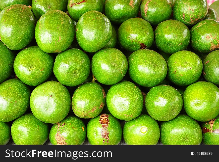 Green color avocado background in thailand. Green color avocado background in thailand