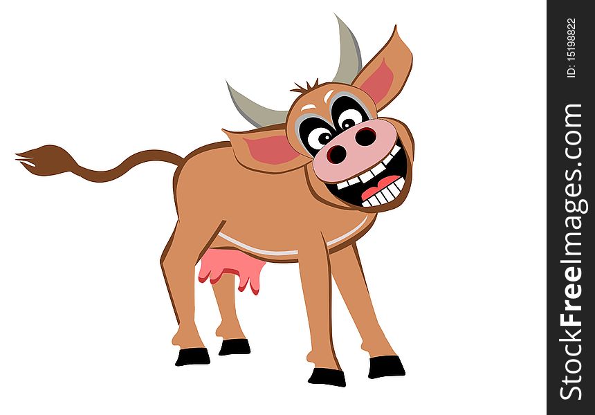 Sneering cow on white background. Sneering cow on white background