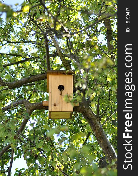 Nice wooden birdhouse on green tree