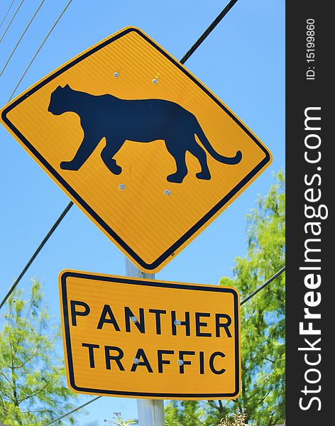 Panther Traffic