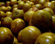 Fruit Market Grapefruit Royalty Free Stock Photography Fruit Market Grapefruit Royalty Free Stock Photography