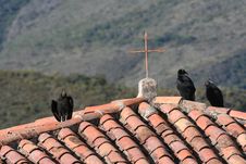Black Vultures And A Cross In Andes Royalty Free Stock Image Black Vultures And A Cross In Andes Royalty Free Stock Image
