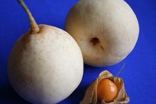 Nashi Pears And Physalis Stock Photos