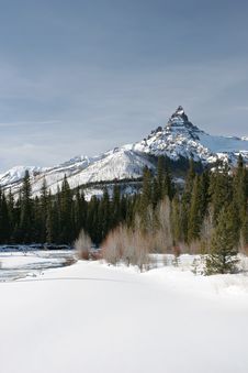 Winter Landscape Royalty Free Stock Image