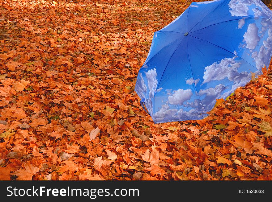 Blue umbrella on autumn foliage in a park. Blue umbrella on autumn foliage in a park