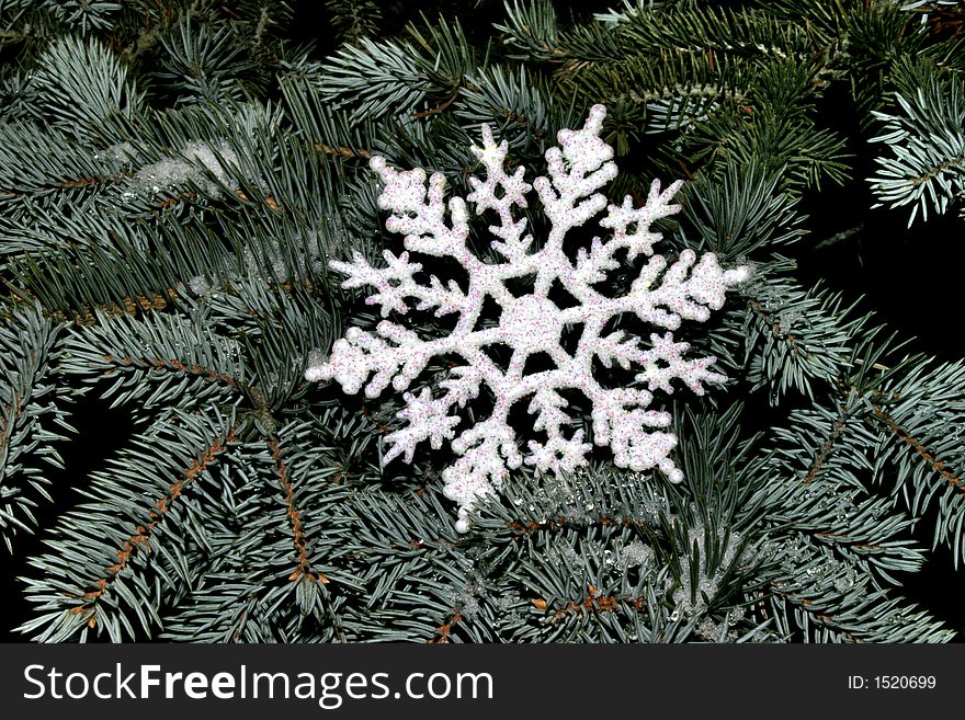 Snowflake on fir tree