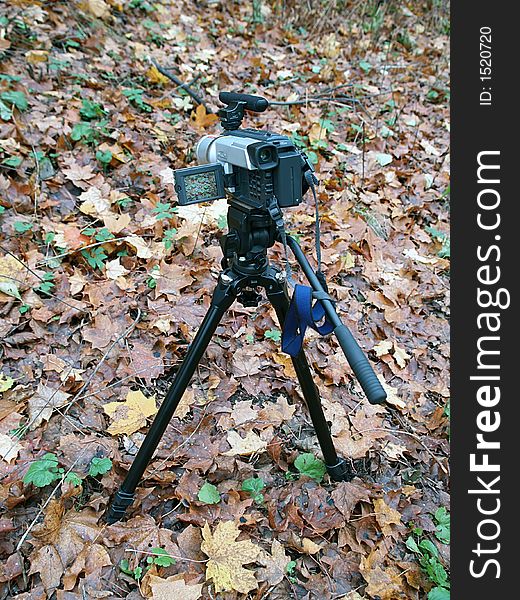 Digital camera recording autumn colors, close-up