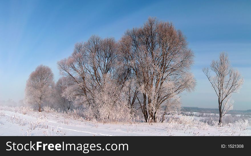 Frosty day. Russian winter in christmas holidays.