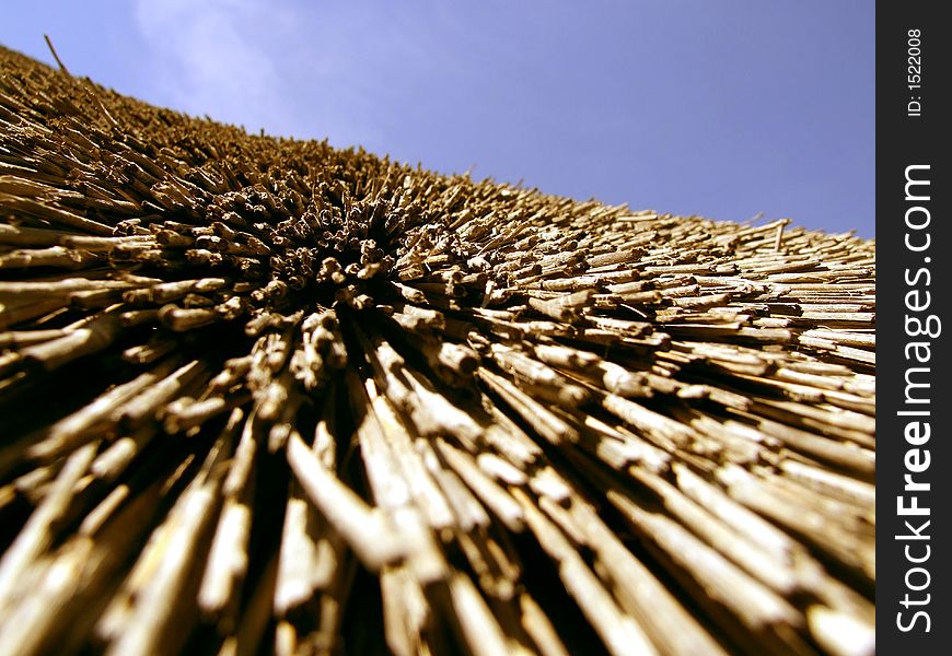 Section of grass roof from a thatched lapa