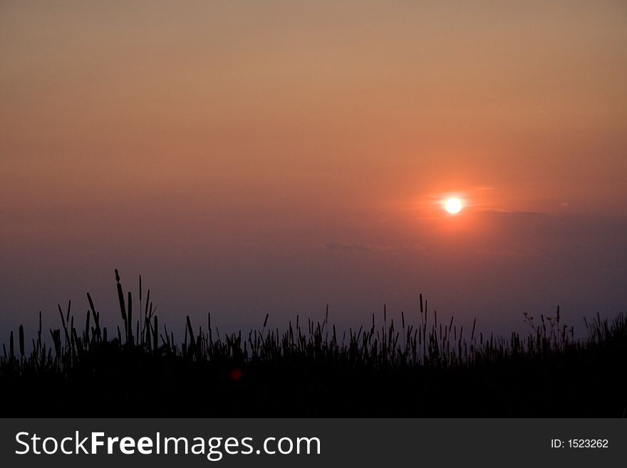 Grass grains against the sunset at wiggs meadow, high bald in tenn mountains, silhouette