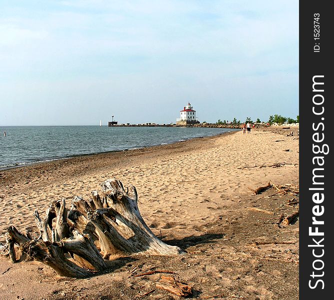 Lighthouse on Headlands beach on Lake Erie with driftwood in the foreground.