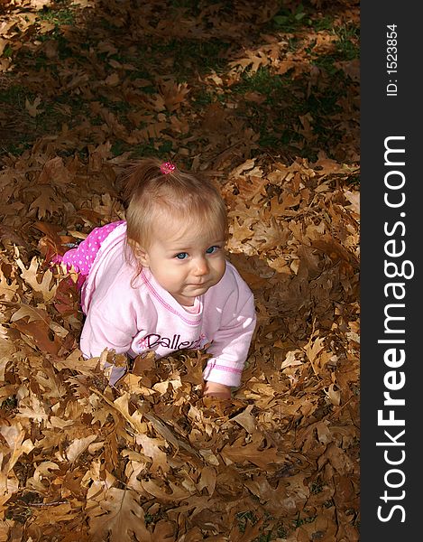 Eight month old baby crawling in fallen leaves. Eight month old baby crawling in fallen leaves.
