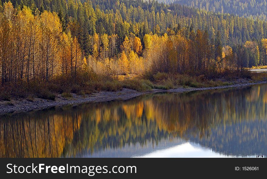 This image of the fall colors reflected in the Middle Fork of the Flathead River was taken in western MT. This image of the fall colors reflected in the Middle Fork of the Flathead River was taken in western MT.