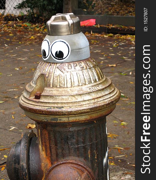 A decorated fire hydrant on a street in Manhattan. A decorated fire hydrant on a street in Manhattan