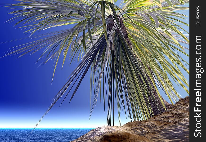 Single palm on the uninhabited island on a day