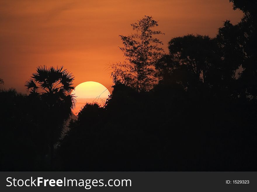 Scenic sunrise close up scenery in silhouette.