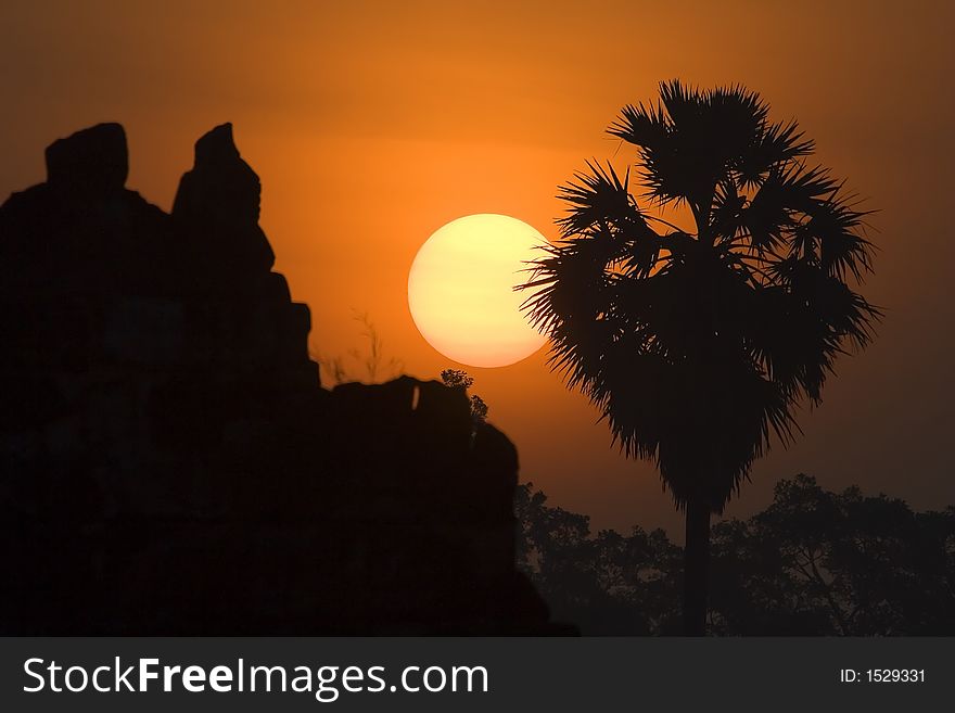 Scenic sunrise close up scenery in silhouette.