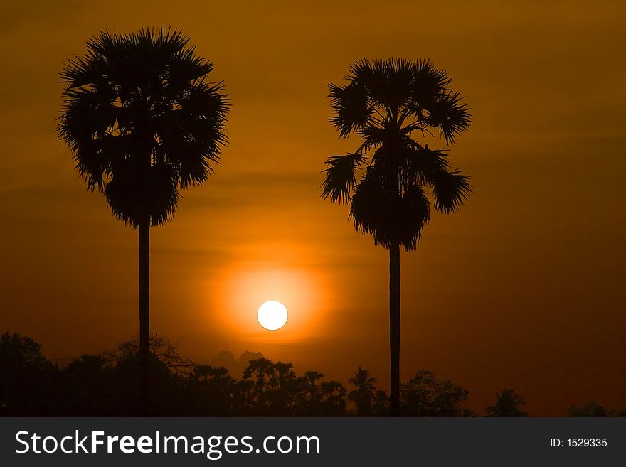 Scenic sunrise close up scenery in silhouette.