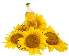 Sunflower Oil And Sunflower Stock Images