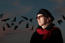 Solitude Royalty Free Stock Photos Solitude Royalty Free Stock Photos