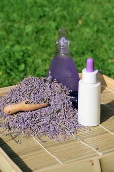 Lavender Essential Oil And Gel Royalty Free Stock Photo Lavender Essential Oil And Gel Royalty Free Stock Photo