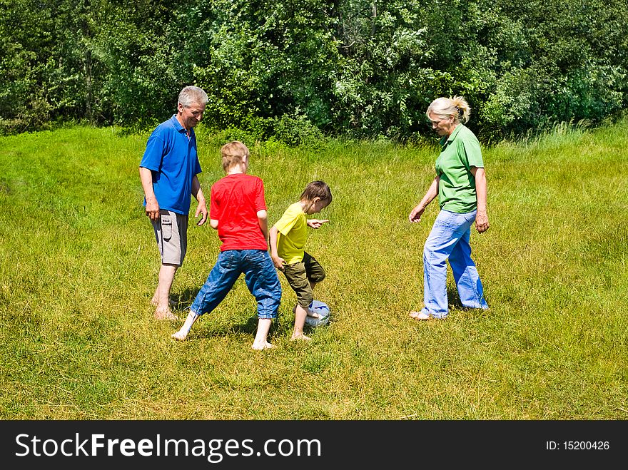 Elderly couple with their grandchildren playing soccer on the grass