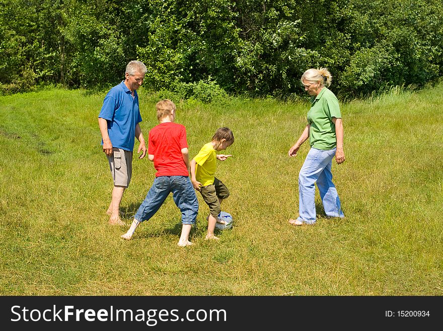 Portrait of a happy family playing on the grass