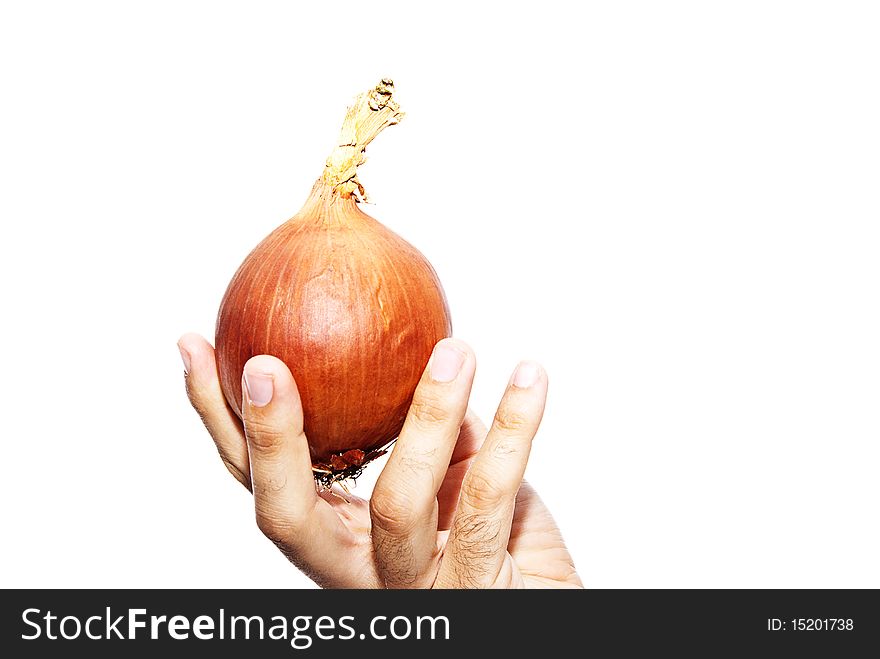 Onion caught with their fingers on a white background. Onion caught with their fingers on a white background