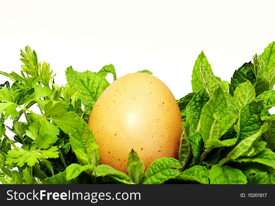 Egg supported between green herbs on a a white background. Egg supported between green herbs on a a white background