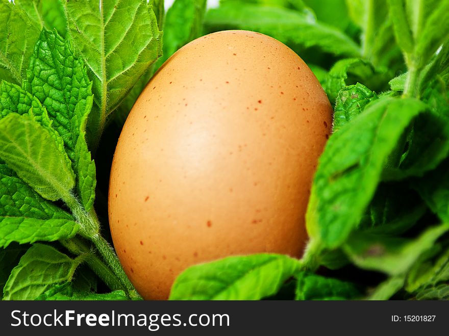 Egg Between Mint